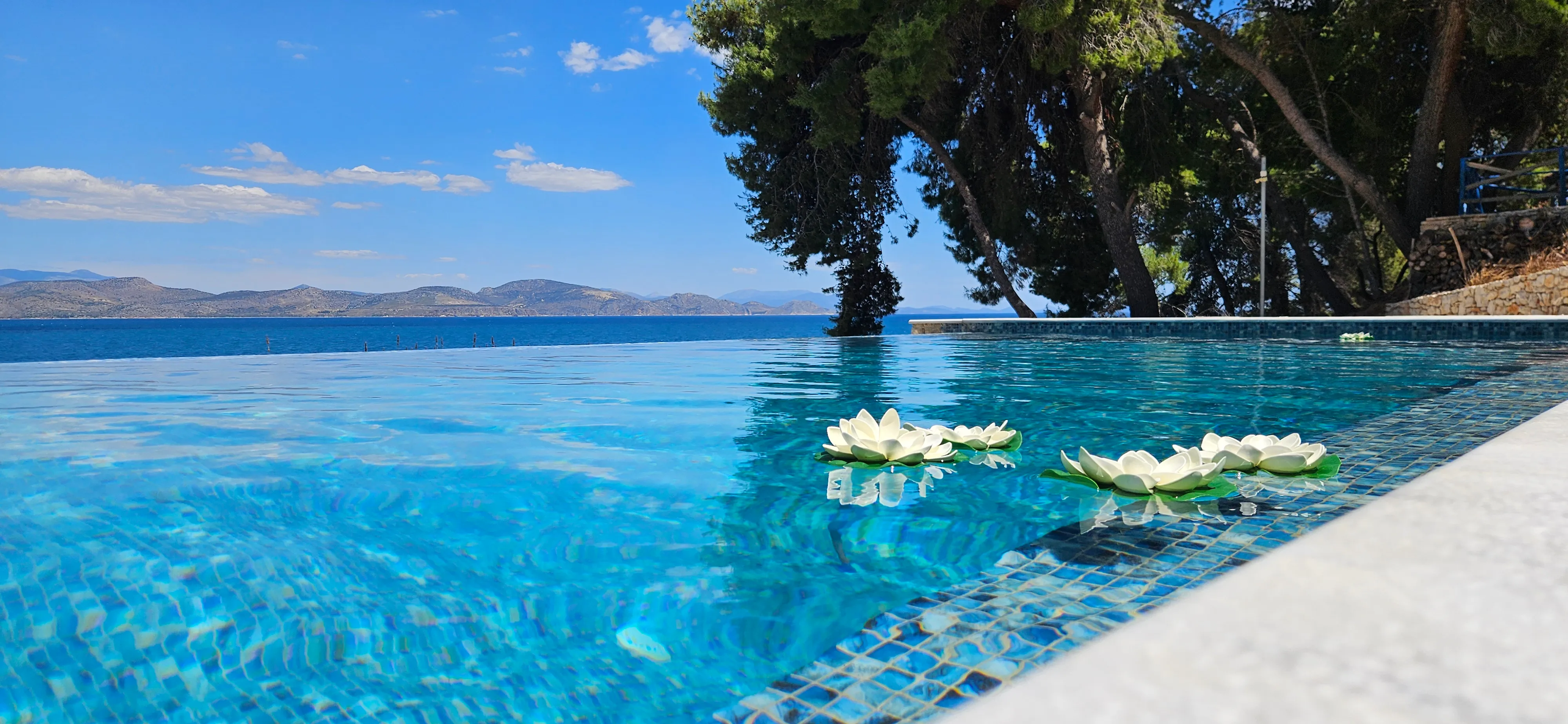 Weiße Blüten treiben auf dem türkisfarbenen Infinity-Pool