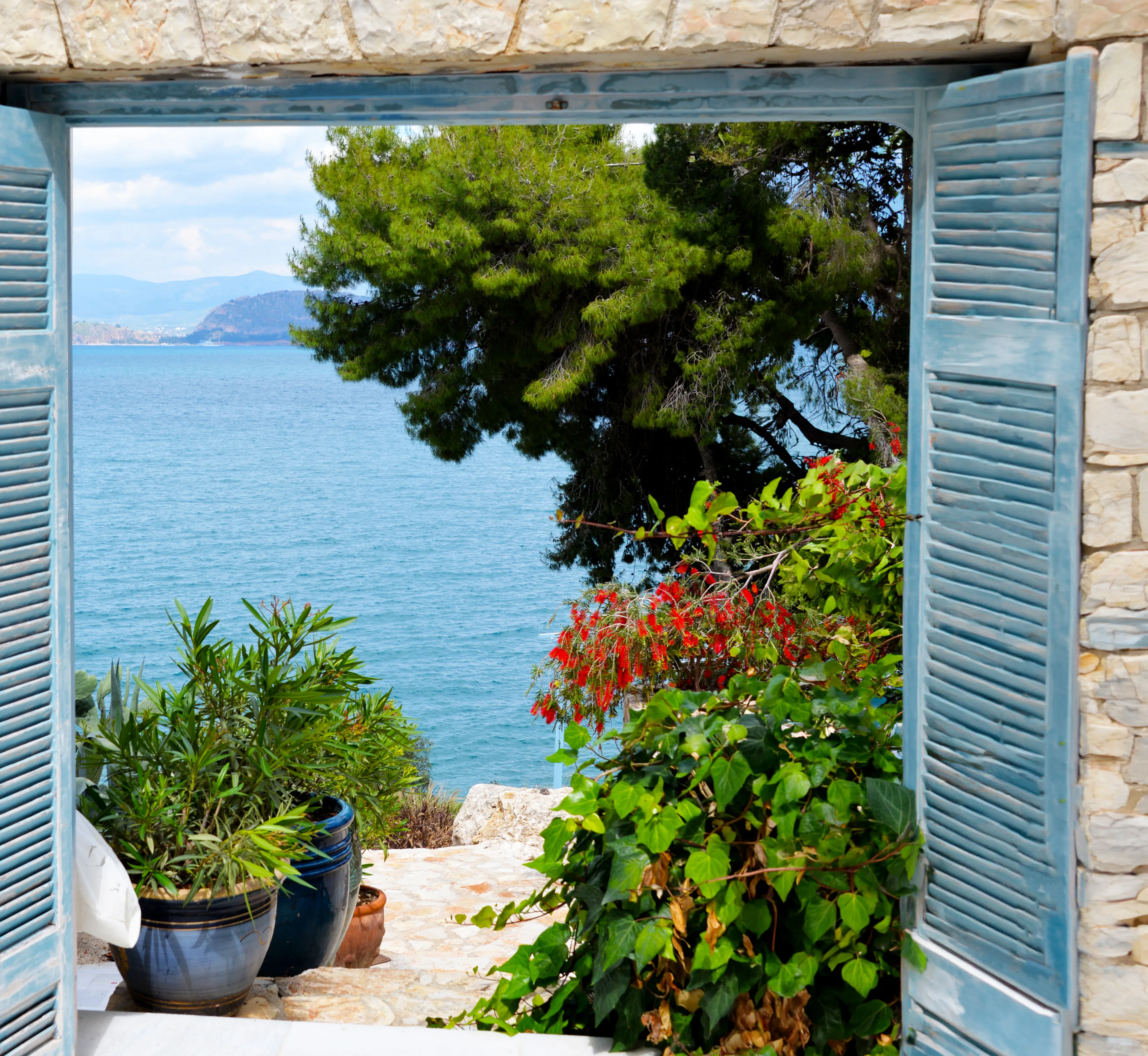 Blick durch offene blaue Fensterläden auf Meer und blühende Pflanzen